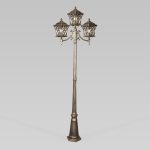 Cassiopeya F/3 черное золото