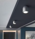 DLN116 GU10 серебро — изображение 4