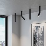 Pika 6W (25029/LED) черный — изображение 3