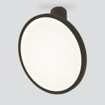 DLS029 12W 4200K черный матовый — изображение 3