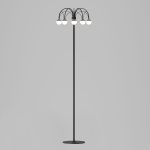 Напольный светодиодный светильник с регулировкой цветовой температуры Ragno 90194 черный