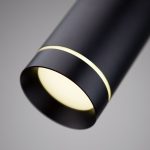 DLR023 12W 4200K черный матовый — изображение 3