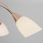 Потолочная люстра со стеклянными плафонами 30149/8 золото — изображение 4