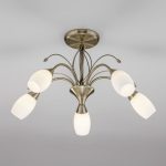 Потолочная люстра со стеклянными плафонами 30280/5