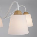 Потолочная люстра со стеклянными плафонами 70062/5 белый — изображение 2