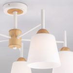 Потолочная люстра со стеклянными плафонами 70085/5 белый — изображение 2