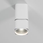 25043/LED 10W 4000K белый — изображение 2