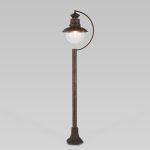 Talli F брауни (GL 3002F)