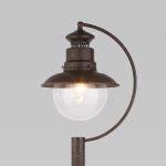 Talli F брауни (GL 3002F) — изображение 2