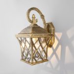 Cassiopeya D черное золото