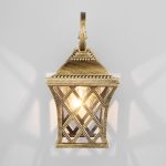 Cassiopeya D черное золото — изображение 2