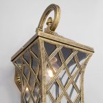 Cassiopeya D черное золото — изображение 3