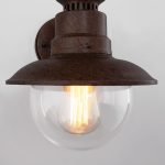 Talli D брауни (GL 3002D) — изображение 5