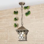 Cassiopeya H черное золото — изображение 2