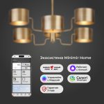 Умная потолочная люстра в стиле лофт 293/6 — изображение 3