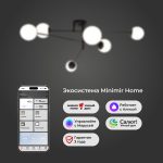 Умный потолочный светильник 30181/6 черный — изображение 4