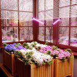 Светильник для растений на прищепке 16 Вт FT-005 чёрный — изображение 9